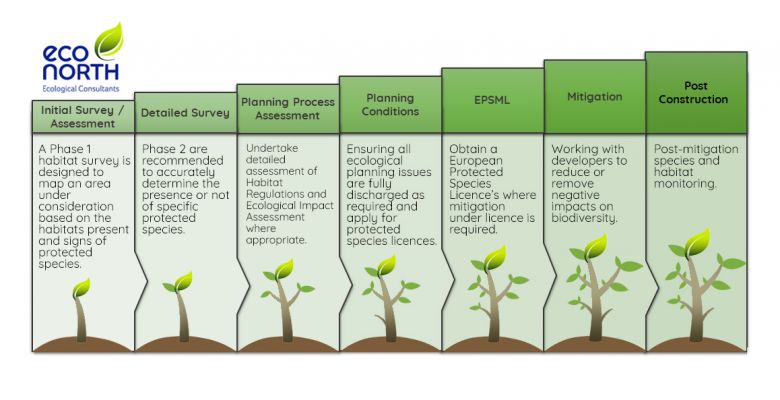 Infograph EcoNorth, Ecological Consultants, Ecology, Ecological Survey, Wildlife, Ecology Survey