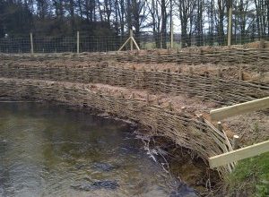 Bespoke Willow Spiling, Erosion Control