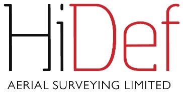 HiDef Logo