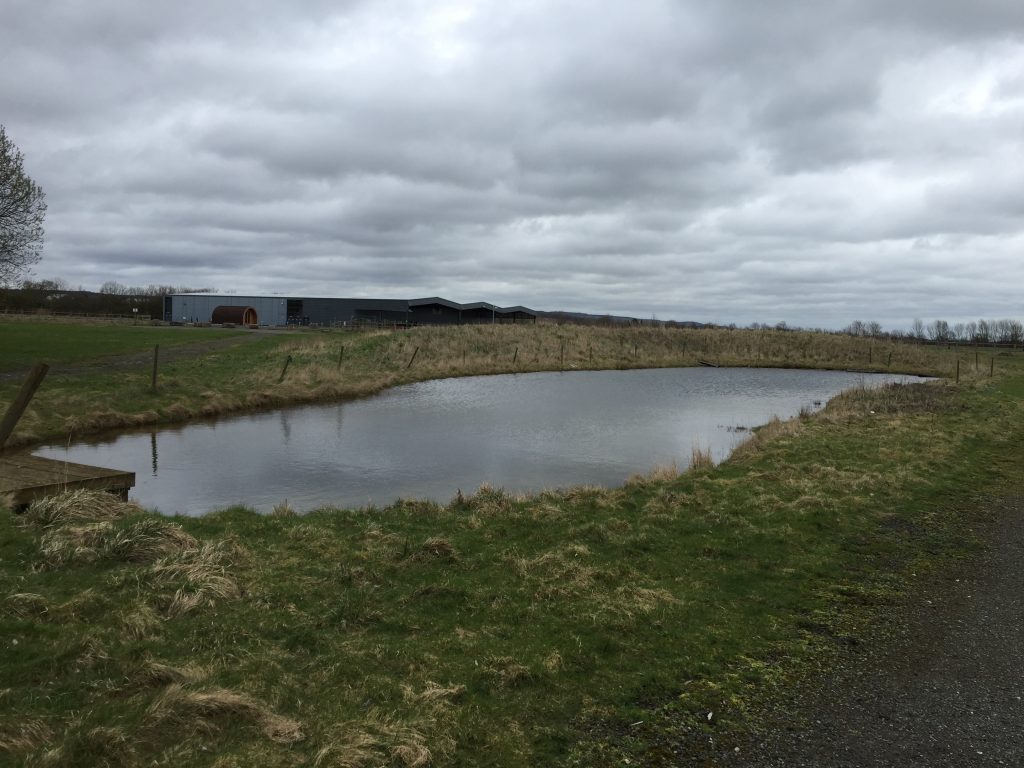 Newts Habitat Suitability Index Assessment EcoNorth