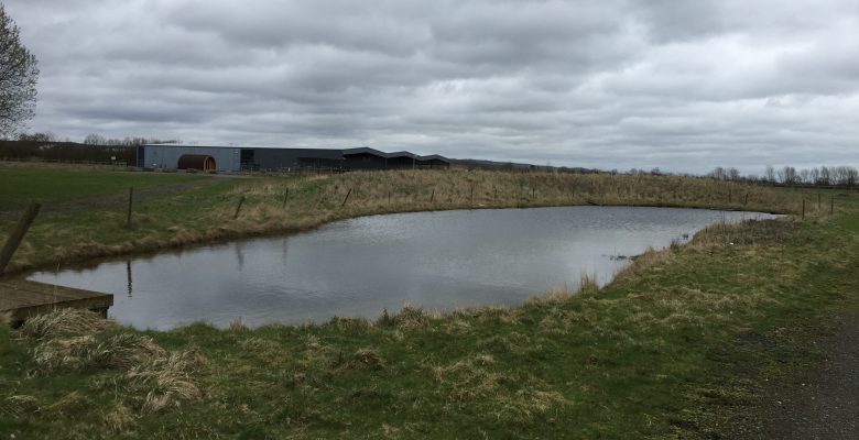 Habitat Suitability Index Assessment, Great Crested Newt, GCN, Newt, Newt Survey, GCN Survey, Great Crested Newt Survey