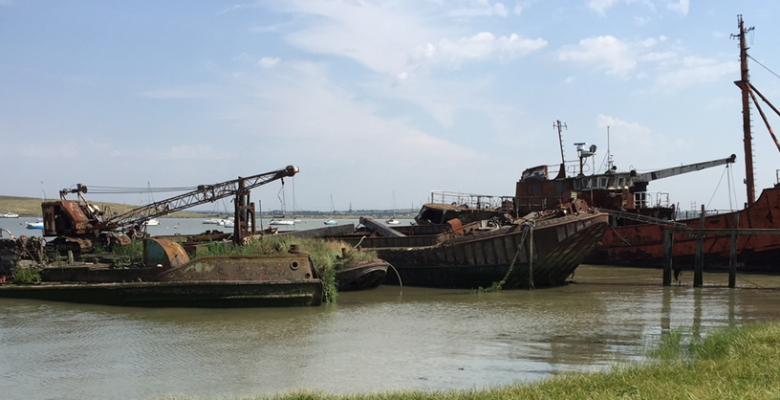 Standard Wharf, Erith 2, Bird Survey,Extended Phase 1,