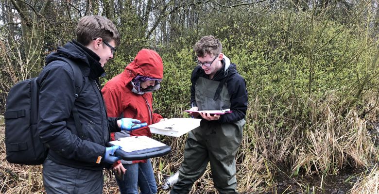 Great crested newt survey