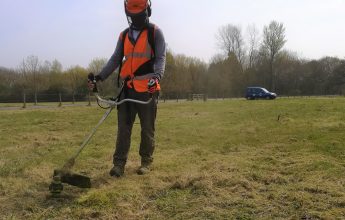 Grass Cutting - May 2019