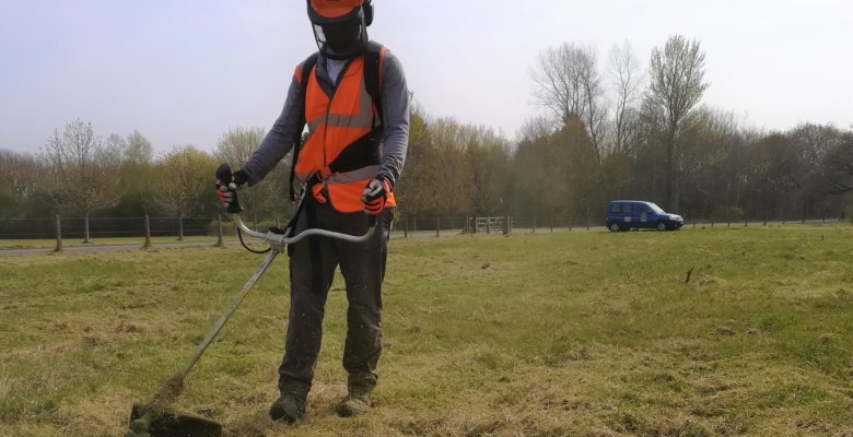 Grass Cutting - May 2019