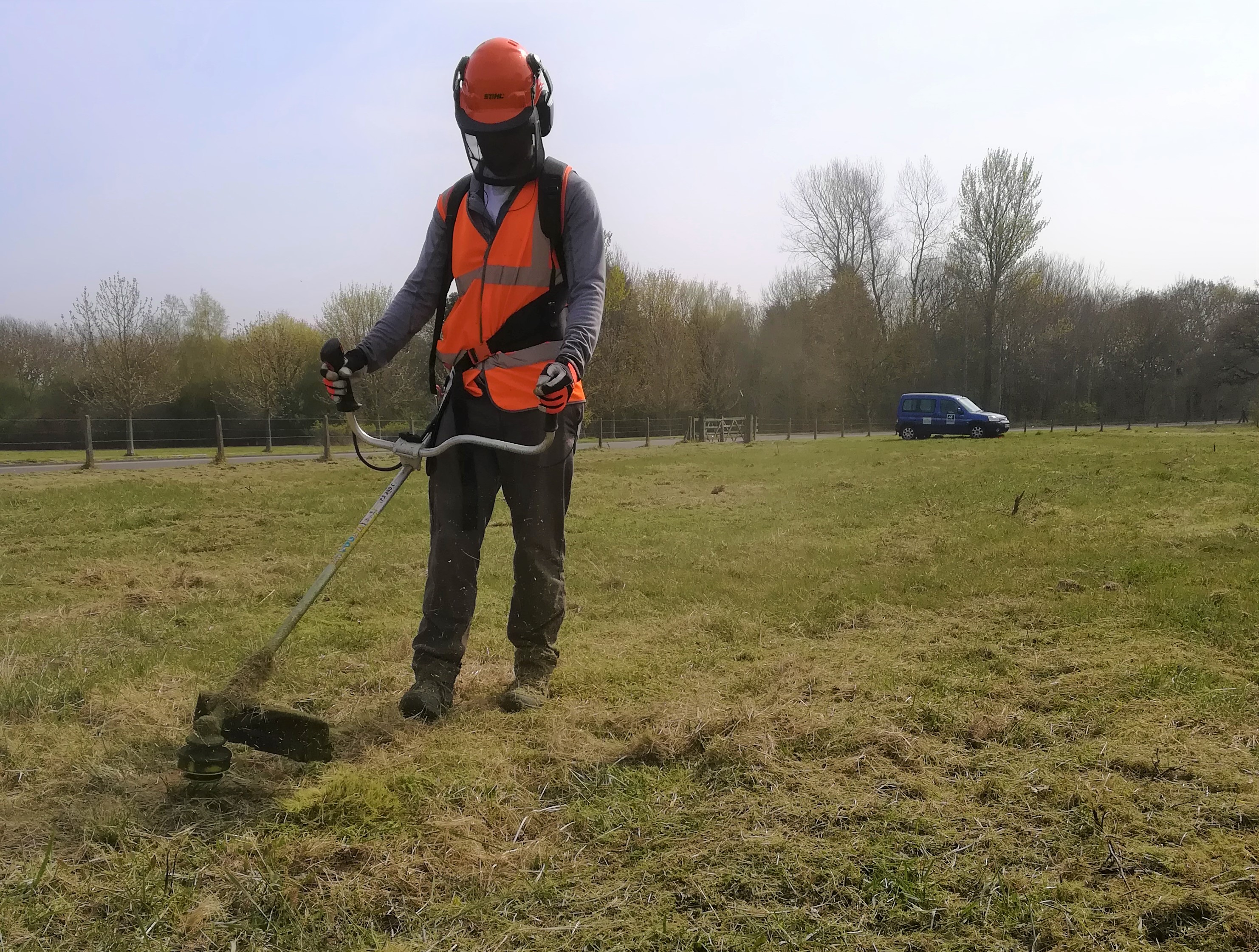 Summer Grass Cutting EcoNorth