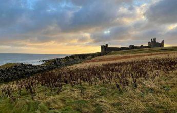 EcoNorth site-Dunstandburgh