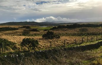 Ecology work on Islay