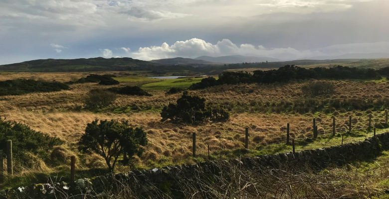 Ecology work on Islay