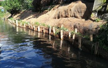 Tom's Willow Spiling Project