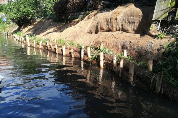 Tom's Willow Spiling Project