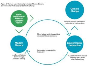 Figure 2: The two-way relationship between Modern Slavery, Environmental Destruction and Climate Change - from a research report by the University of Nottingham Rights Lab, Royal Holloway University of London and the Independent Anti Slavery Commissioner - Oct 2018