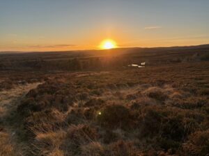 Rothbury Estate landscape