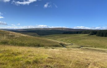 Wild Kielder landscape