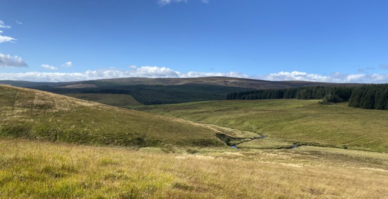 Wild Kielder landscape