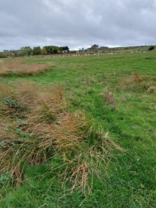 Example of a UKHab survey of a modified grassland