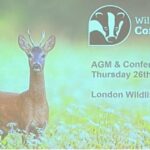 WTC Annual Conference and AGM