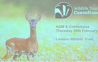 WTC Annual Conference and AGM